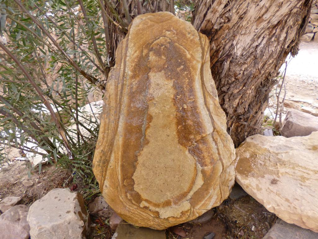 تيلكارا Hospedaje Elias المظهر الخارجي الصورة